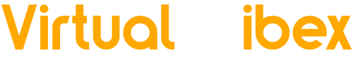 virtualibex.com virtualibex.com