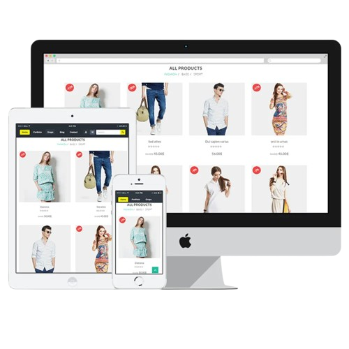 Shopify web development service